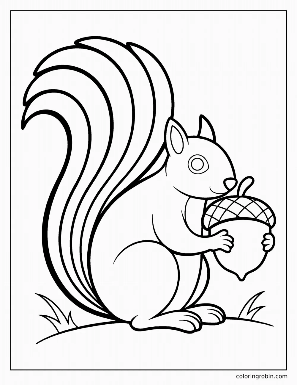 Squirrel coloring page