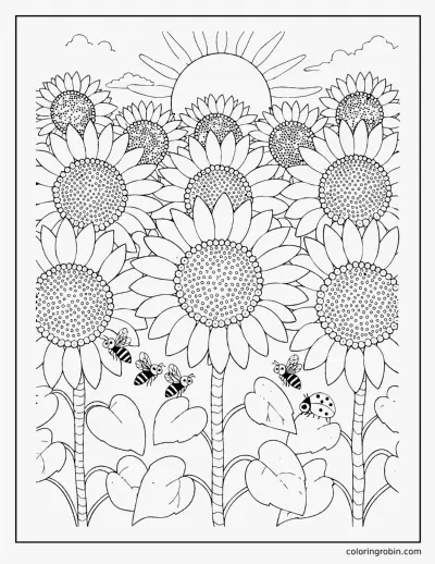 Sunflower Field coloring page