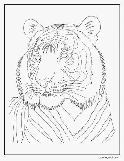 Realistic Tiger coloring page
