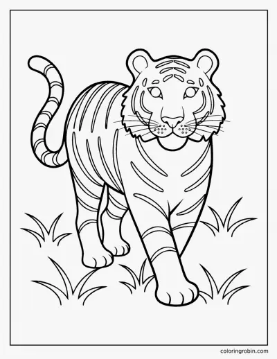 Tiger coloring page