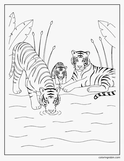 Tigers at the Waterhole coloring page