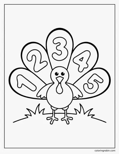 Number Feathers coloring page