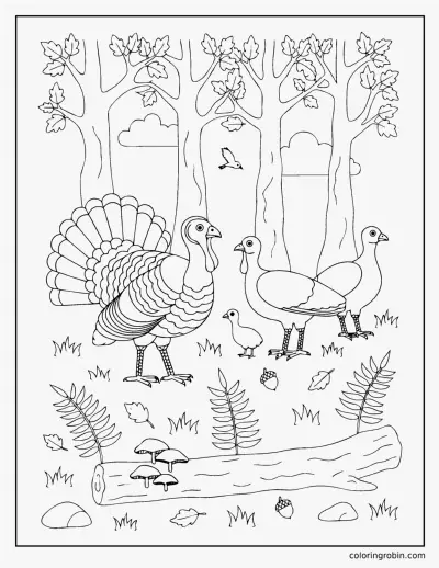 Wild Turkeys in the Woods coloring page