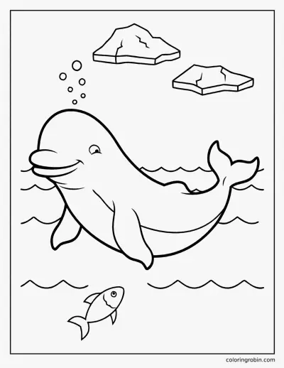 Beluga Whale coloring page