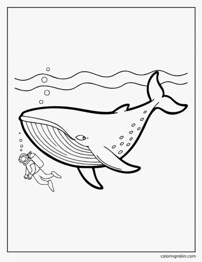Blue Whale coloring page