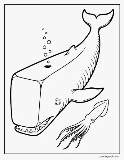 Sperm Whale coloring page