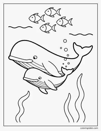 Whale and Calf coloring page