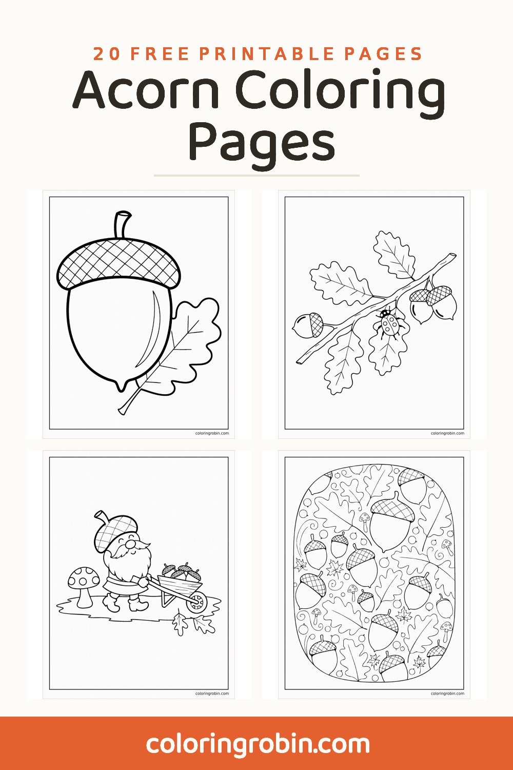 Acorn Coloring Pages — free printable set