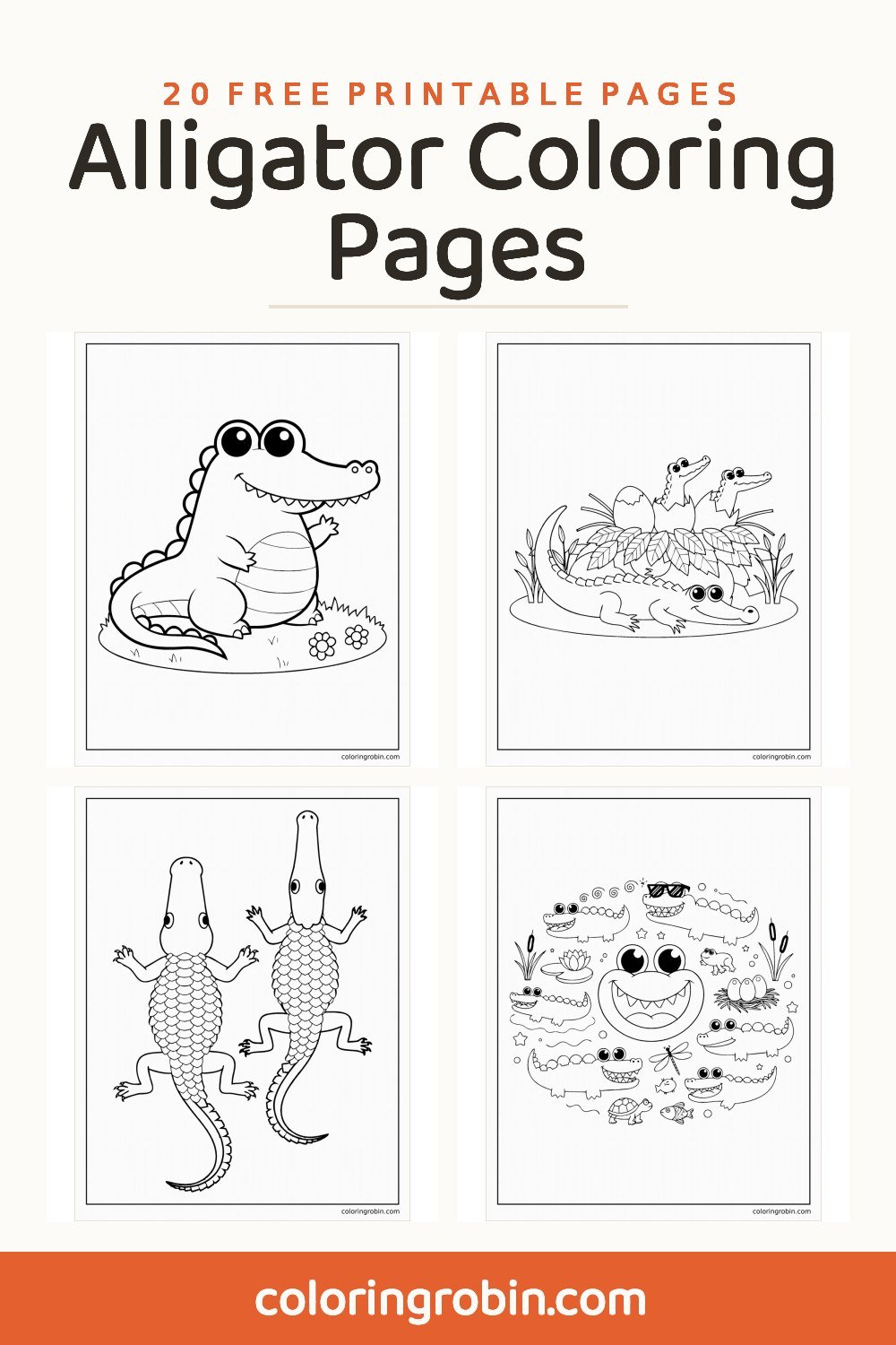 Alligator Coloring Pages — free printable set