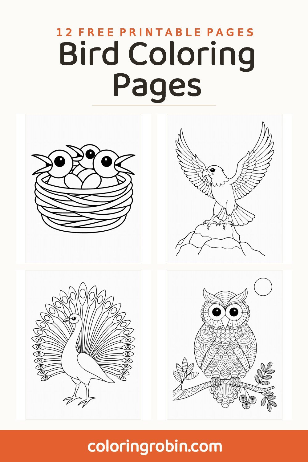 Bird Coloring Pages — free printable set