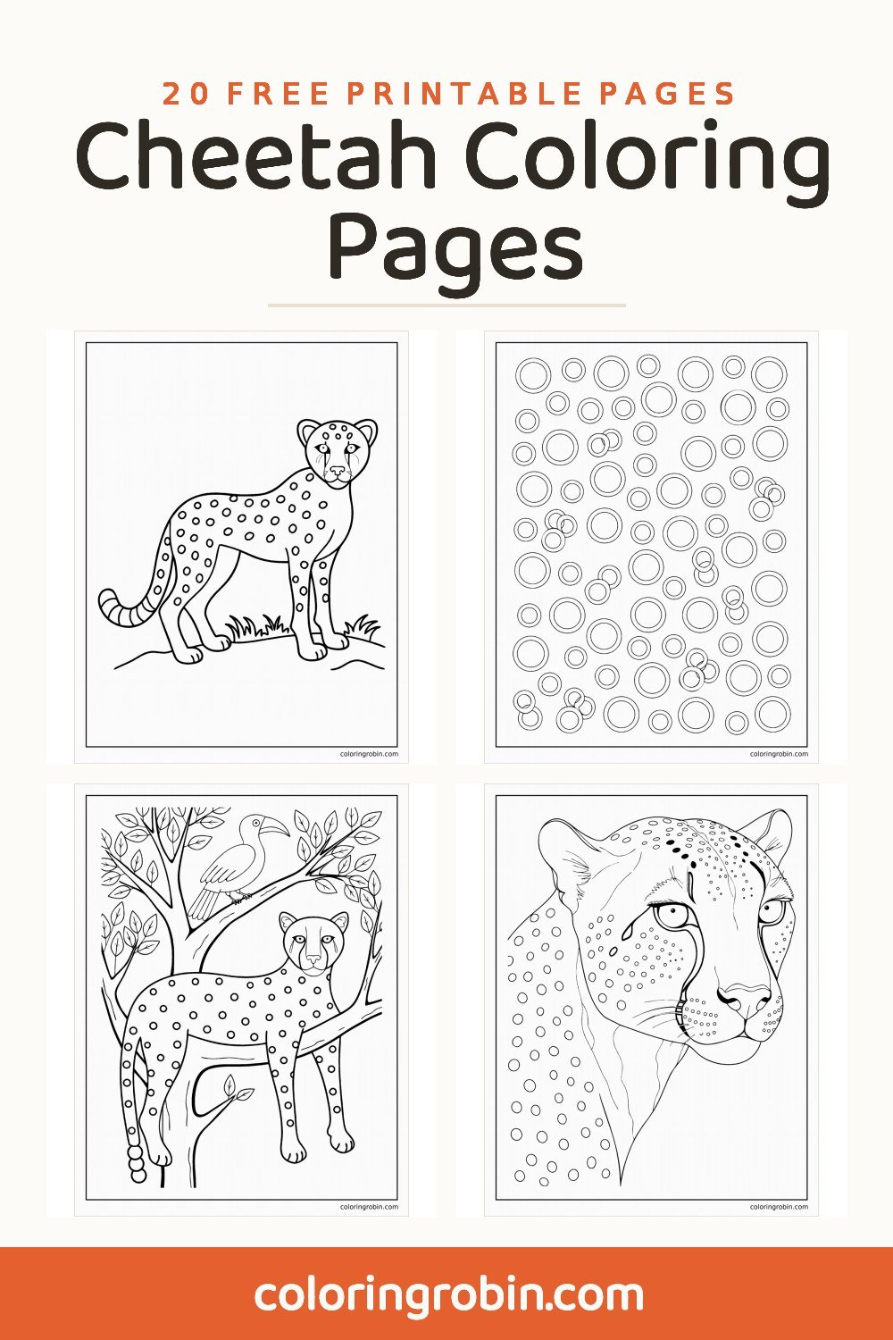 Cheetah Coloring Pages — free printable set