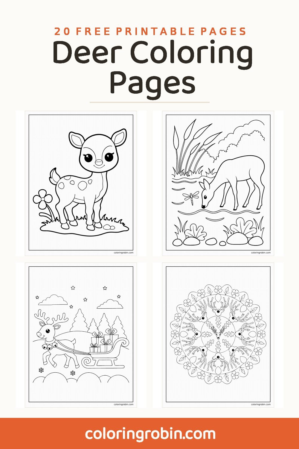 Deer Coloring Pages — free printable set