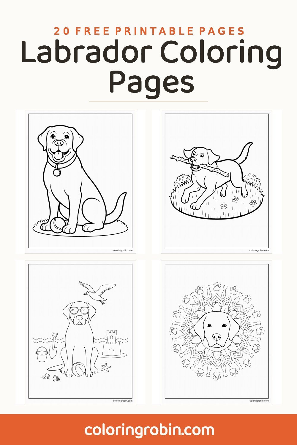 Labrador Coloring Pages — free printable set