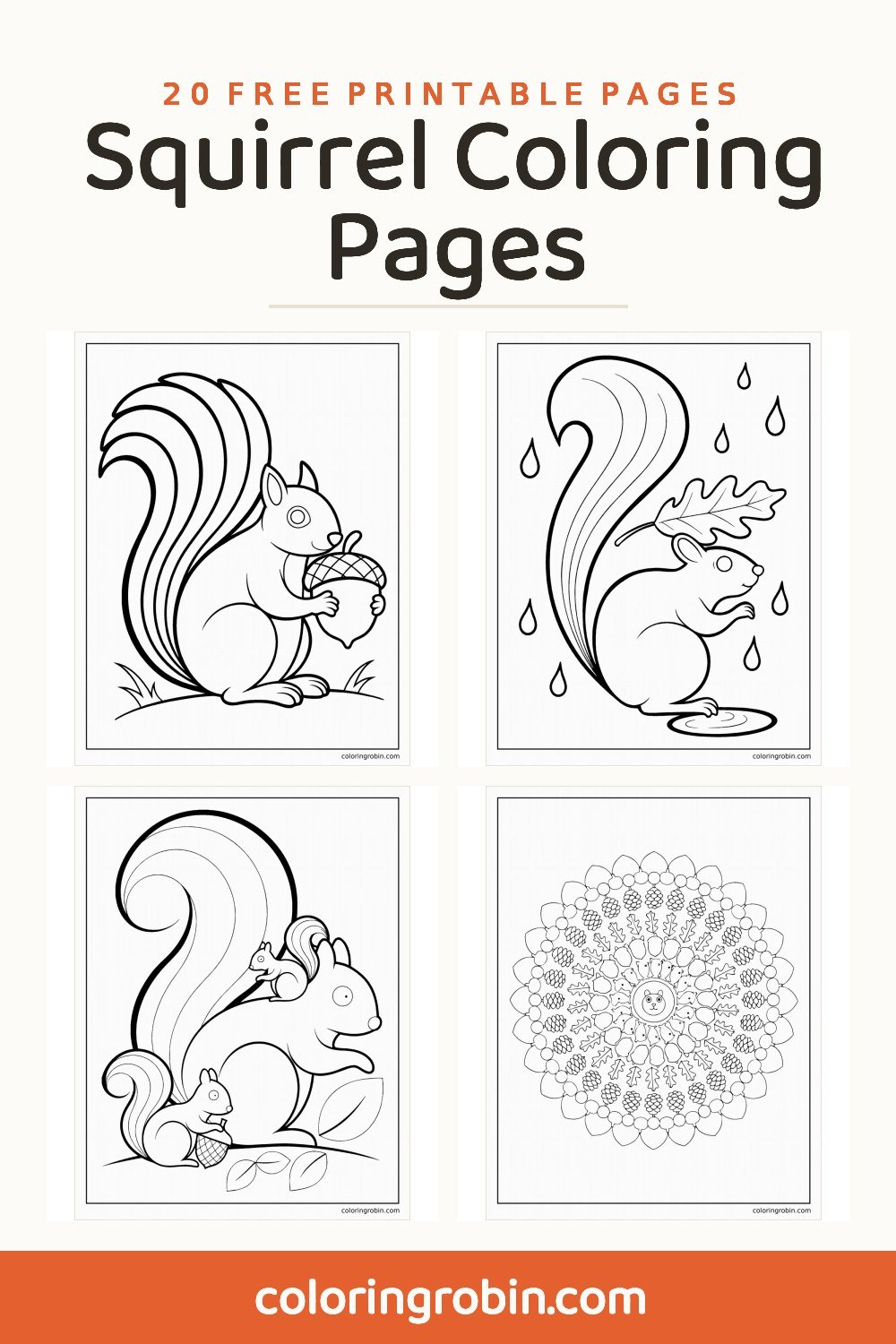 Squirrel Coloring Pages — free printable set