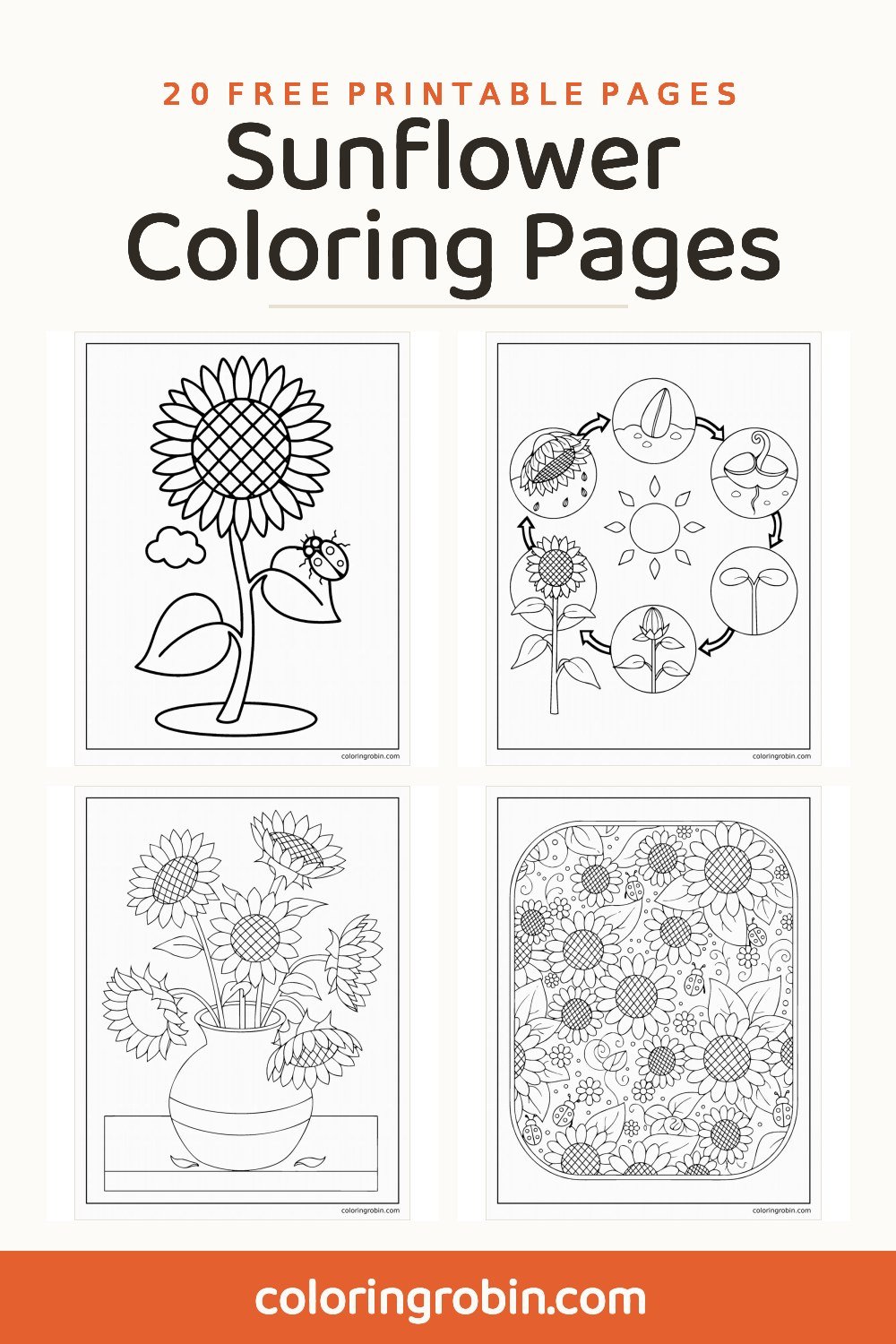 Sunflower Coloring Pages — free printable set