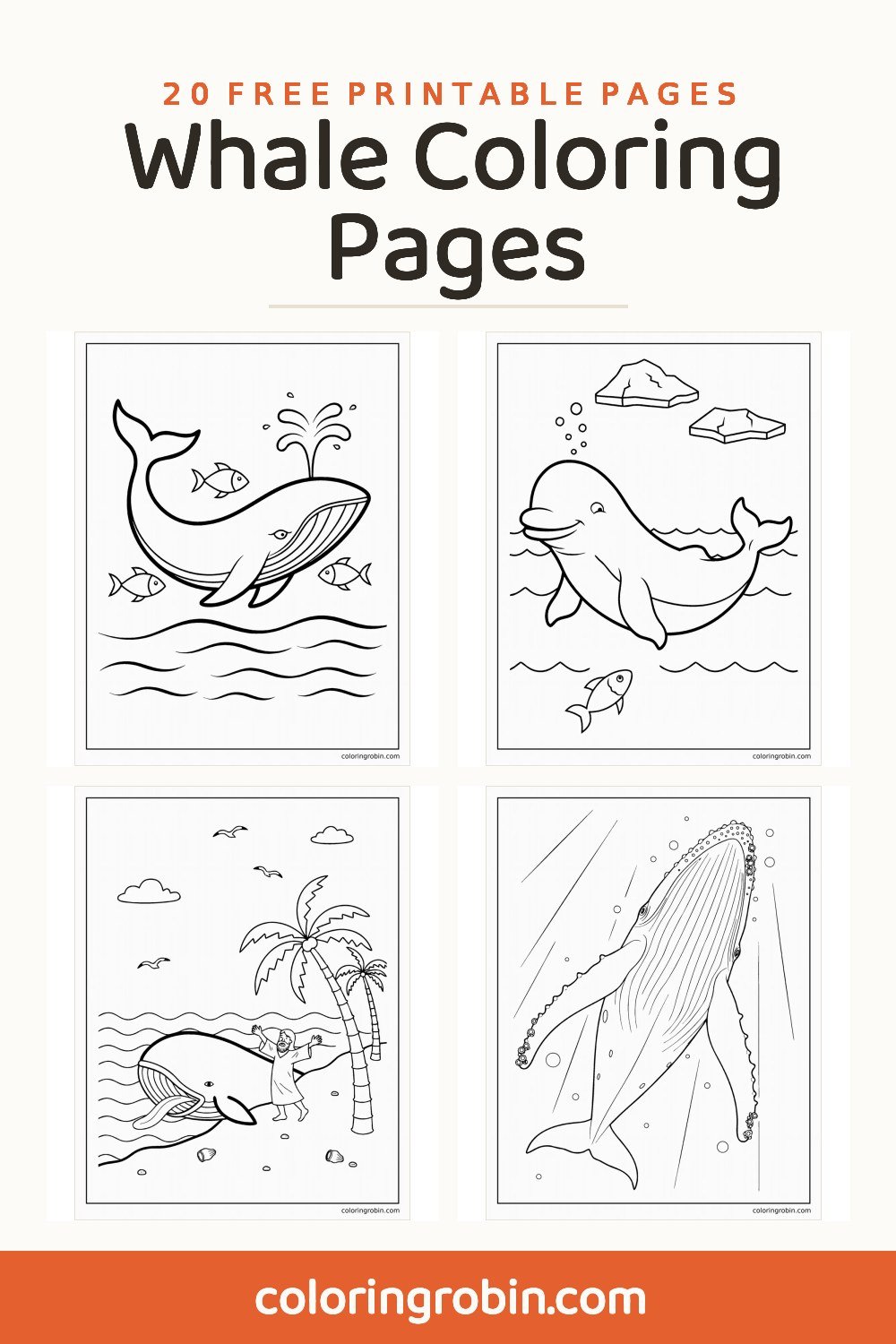 Whale Coloring Pages — free printable set